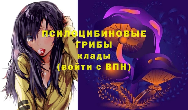 ALPHA-PVP Пыть-Ях