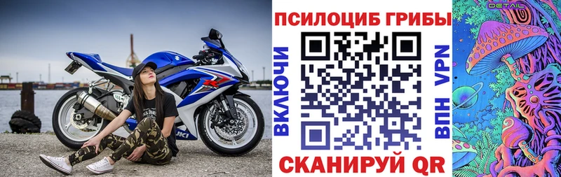Псилоцибиновые грибы Psilocybe Власиха
